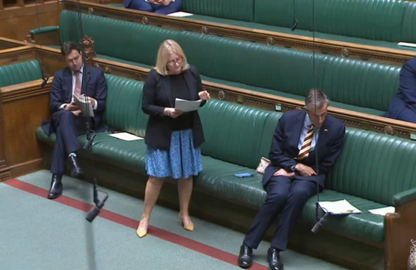 Suzanne Webb MP at Education Questions